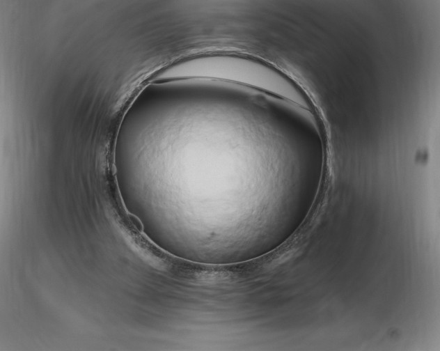 X0000116280105200912211827