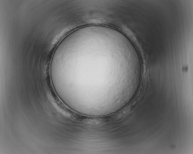 X0000116280106200912211827