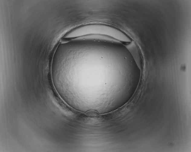 X0000116280107200912211827
