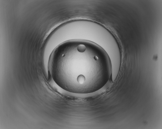 X0000116280108200912211827