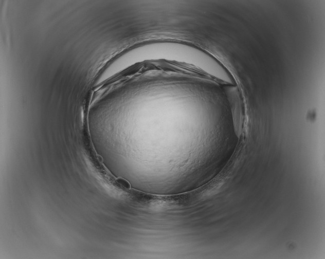 X0000116280109200912211827