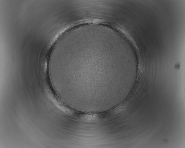 X0000116280110200912211827