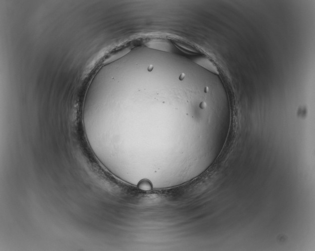 X0000116280111200912211827