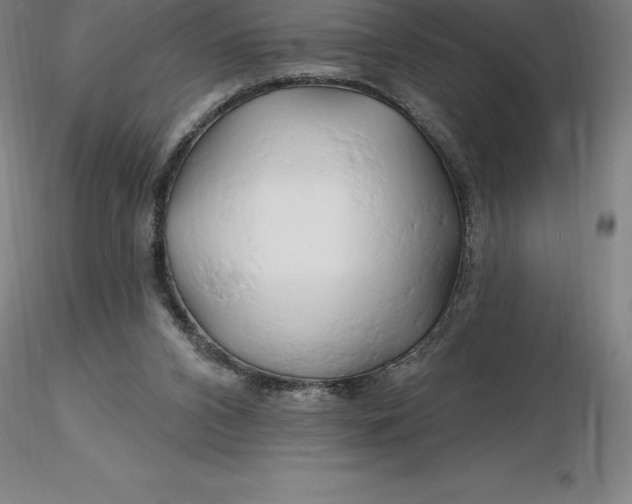 X0000116280112200912211827
