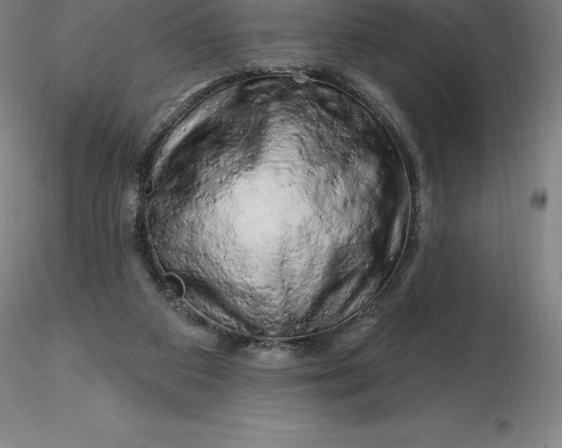 X0000116280113200912211827