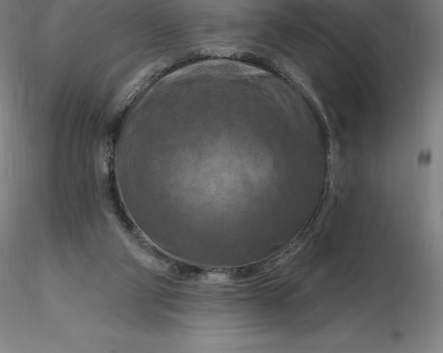X0000116280114200912211827
