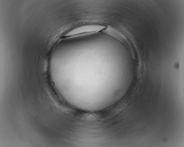 X0000116280115200912211827