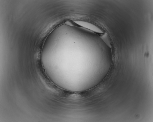 X0000116280119200912211827