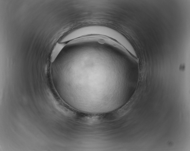 X0000116280120200912211827