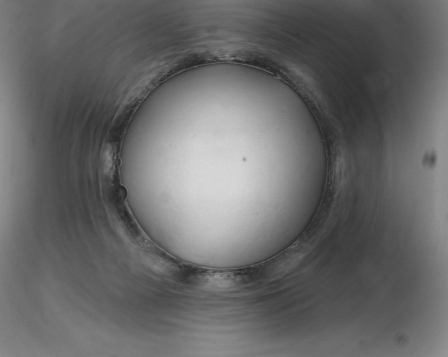 X0000116280121200912211827