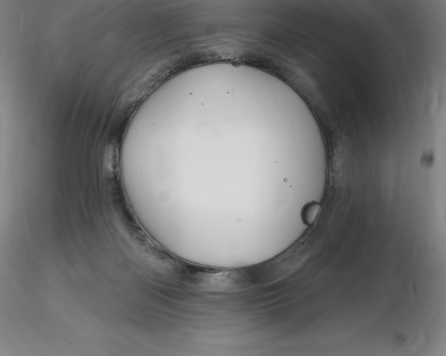 X0000116280122200912211827