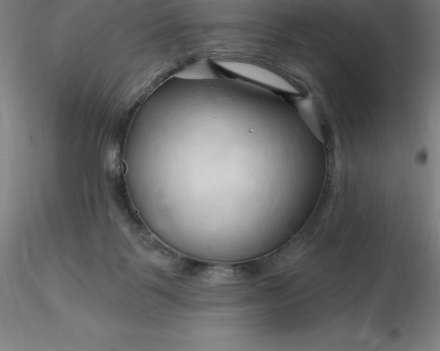 X0000116280123200912211827