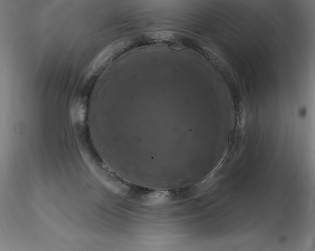 X0000116280124200912211827