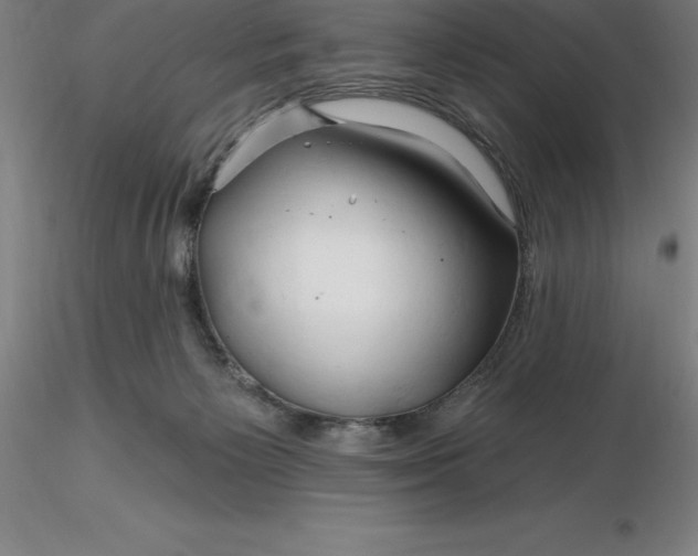 X0000116280125200912211827