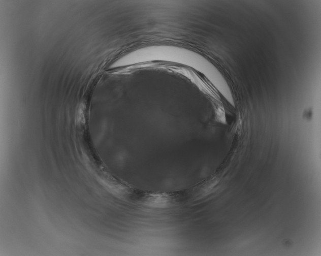 X0000116280127200912211827