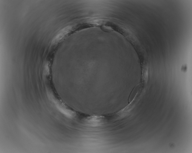 X0000116280128200912211827