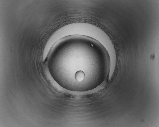 X0000116280129200912211827