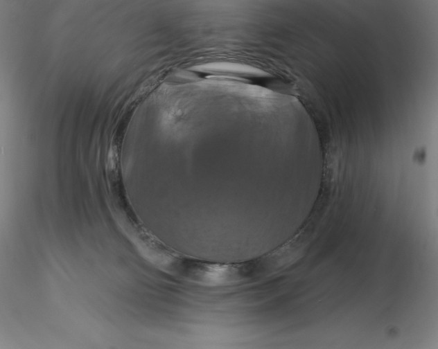 X0000116280130200912211827