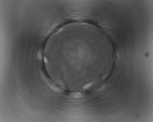 X0000116280131200912211827