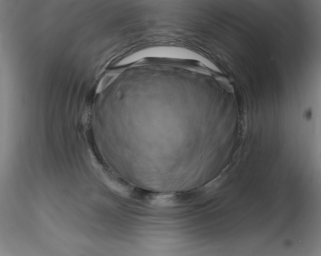 X0000116280132200912211827