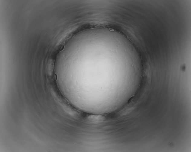 X0000116280133200912211827