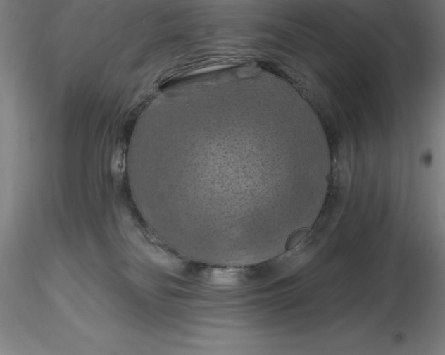 X0000116280134200912211827