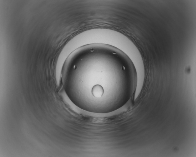 X0000116280135200912211827