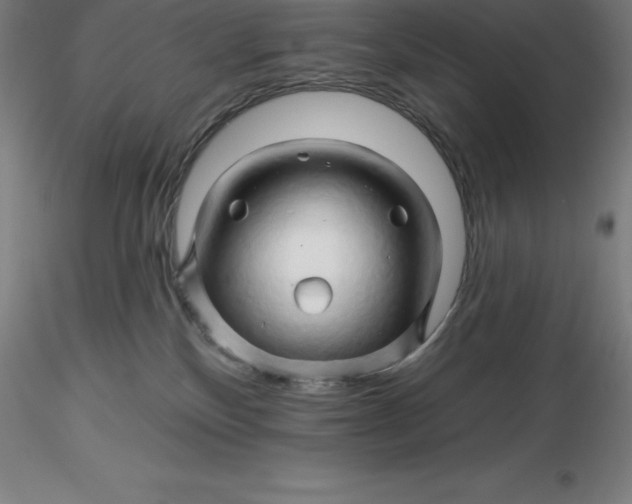X0000116280136200912211827