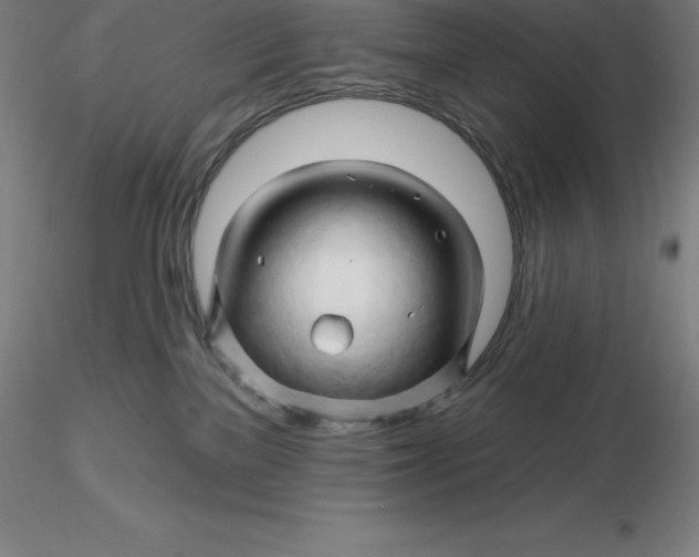 X0000116280137200912211827