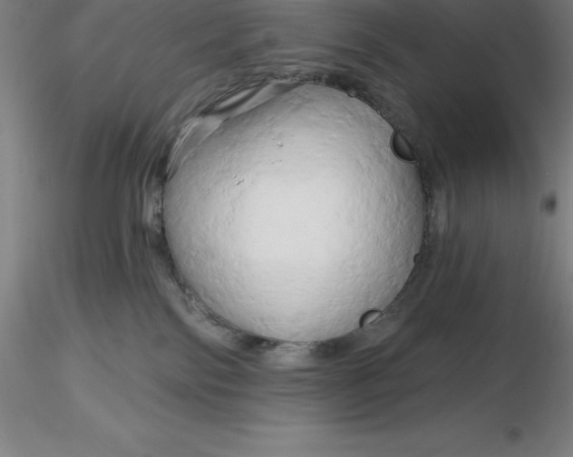 X0000116280138200912211827