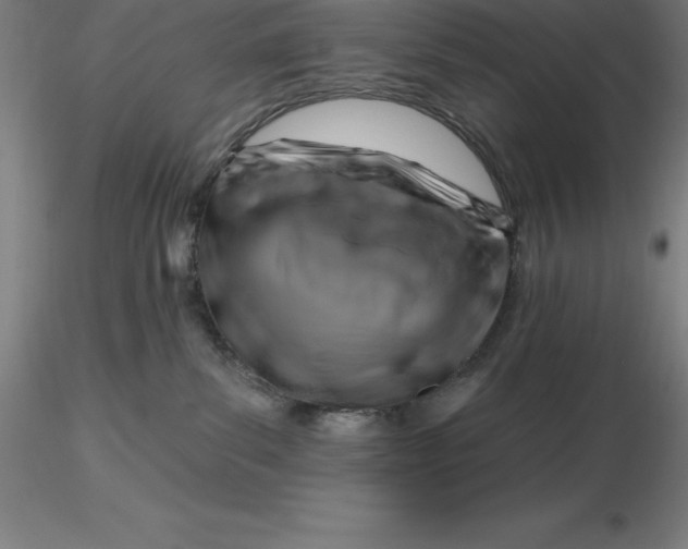 X0000116280139200912211827