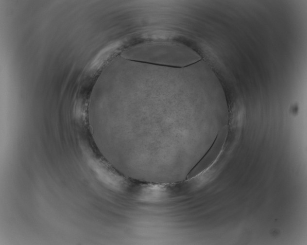 X0000116280140200912211827