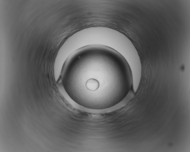 X0000116280141200912211827