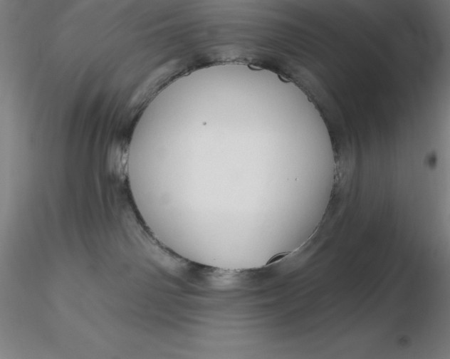 X0000116280142200912211827