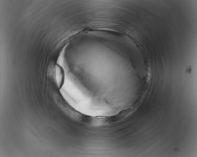 X0000116280143200912211827