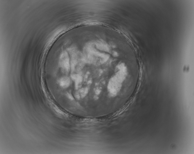 X0000116280145200912211826