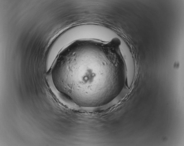 X0000116280146200912211826