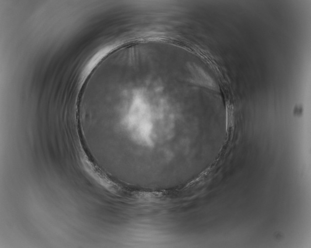 X0000116280147200912211826