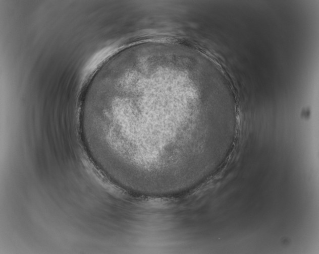 X0000116280149200912211826