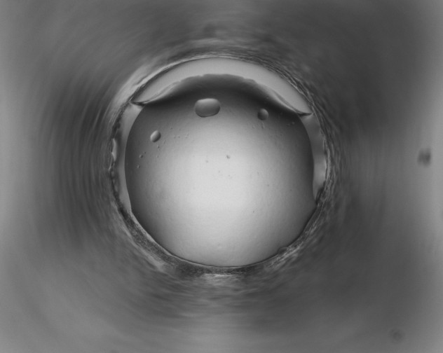 X0000116280150200912211826