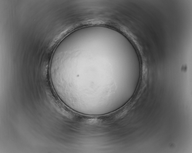 X0000116280153200912211826