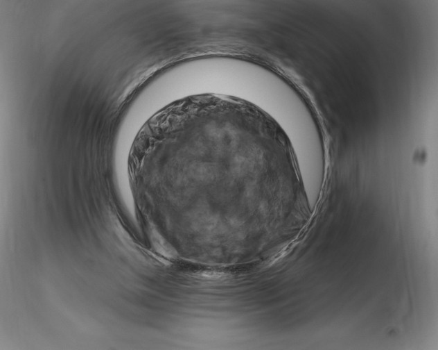 X0000116280154200912211826