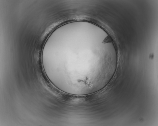 X0000116280155200912211826