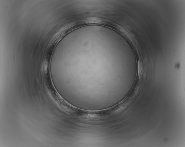 X0000116280157200912211826