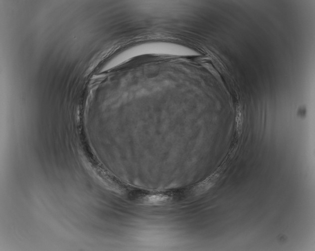 X0000116280158200912211826