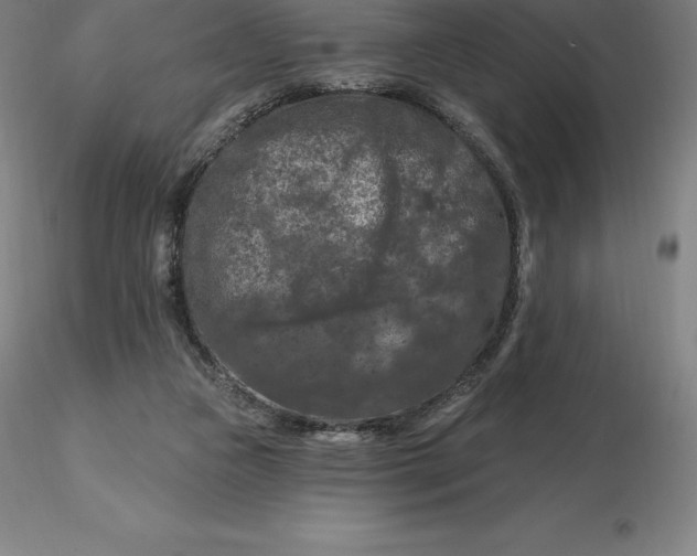 X0000116280161200912211826