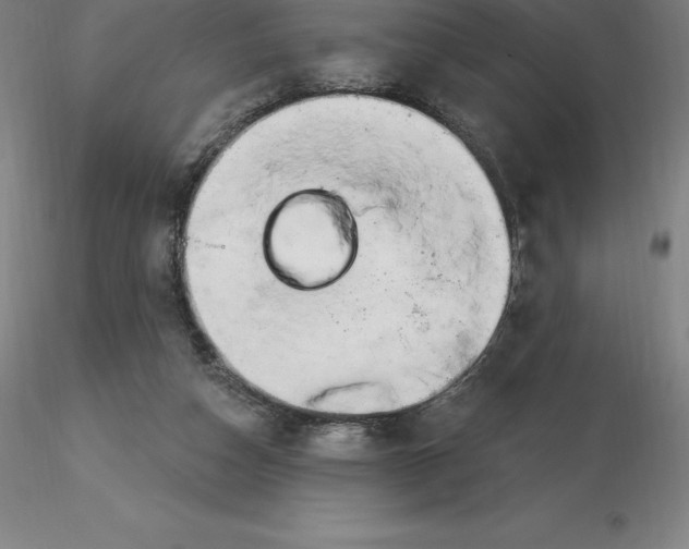 X0000116280162200912211826