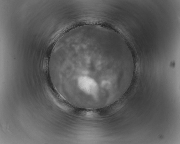 X0000116280165200912211826