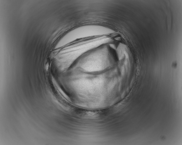 X0000116280166200912211826