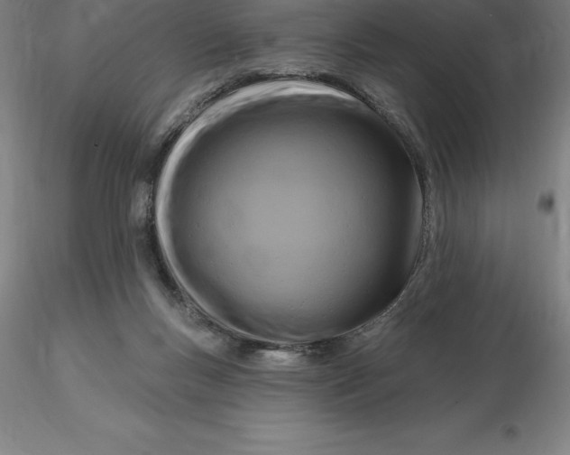X0000116280167200912211826